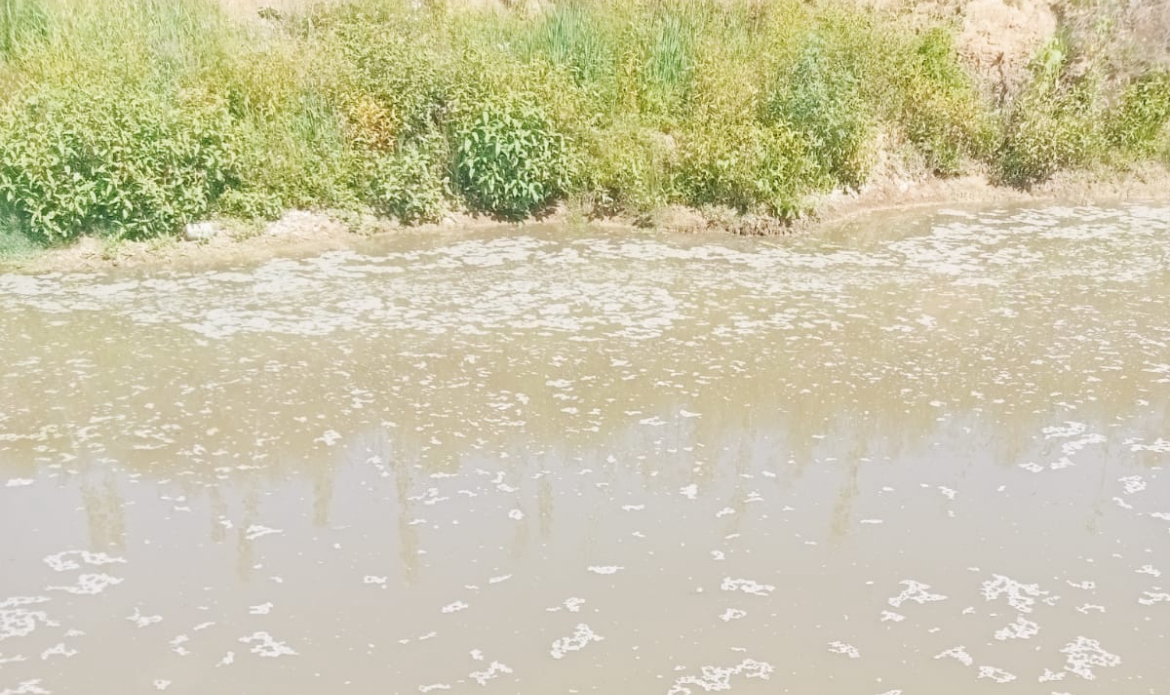 Derede kimyasal atık ihbarı