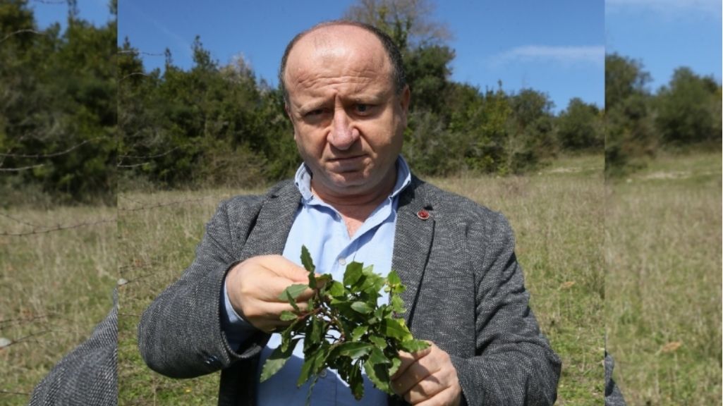 KANDIRA ÇALKALANIYOR! MHP’Lİ MECLİS ÜYESİ FİRARİ, PARTİDEN İSTİFASI ALINDI!