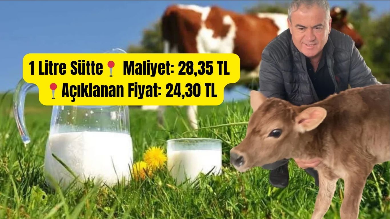KAYNARCA’DA SÜT ÜRETİCİSİNDEN SERT İSYAN: 