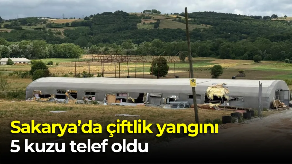 Kaynarca'da Çiftlik Yangını: 5 Kuzu Telef Oldu, 