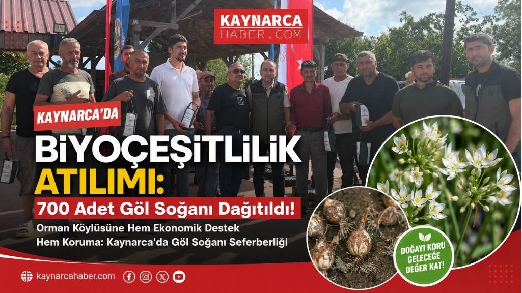 Koruma altında olan 700 göl soğanı vatandaşa dağıtıldı