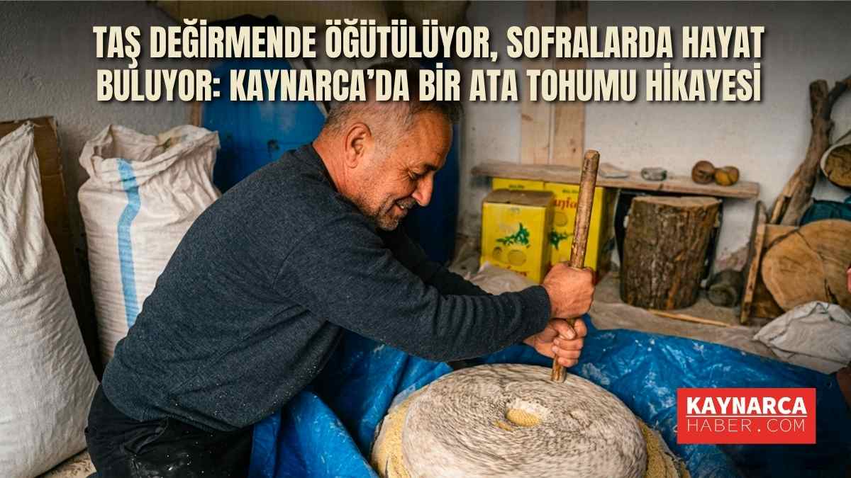 Orta Asya’dan Günümüze Taşınan Miras: Manav Türklerinin 