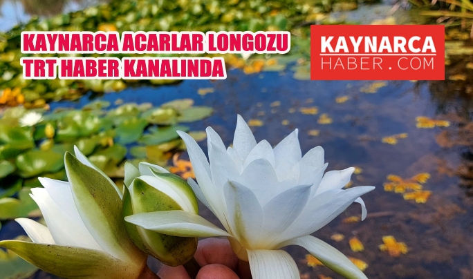 Acarlar Longozu Kaynarca bölümü TRT’de