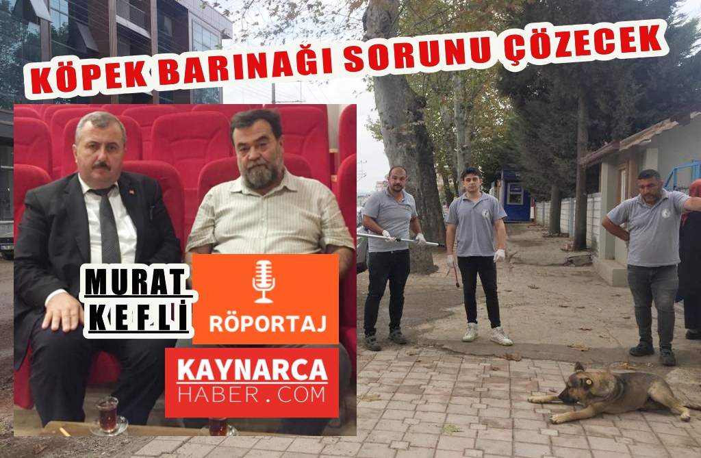 Belediye Başkanı Murat Kefli, “Hayvan Barınağı’nda son aşamaya gelindi”