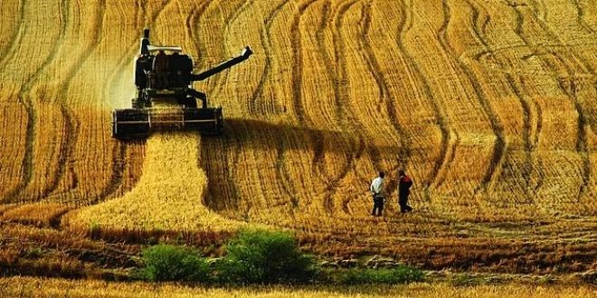 Tarım arazileri 10 yılda 2,5 milyon dekar azaldı