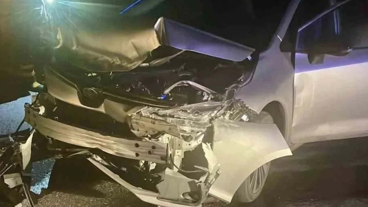Kaynarca’da Trafik Kazası: 2 Yaralı!