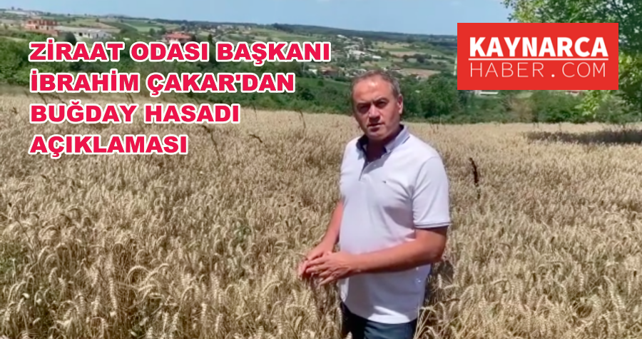Kaynarca’da 5 bin ton buğday hasadı yapıldı